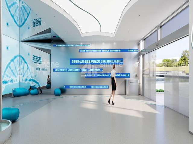 忻州输送机推荐厂家