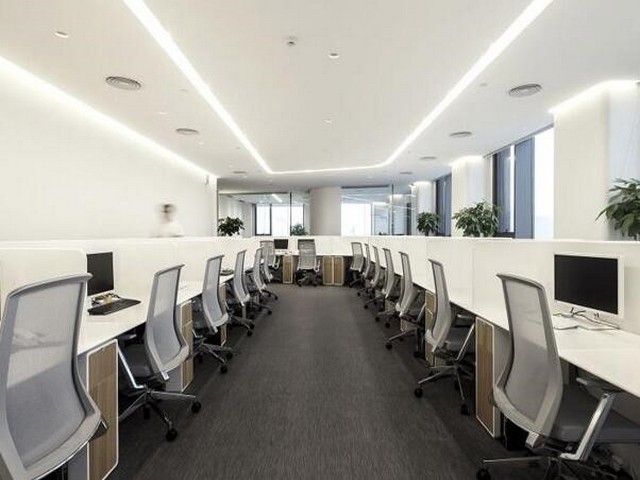 菏泽粮饲兼用型玉米品种哪里有卖