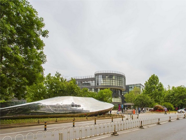 浙江防火塑料绿植哪家好